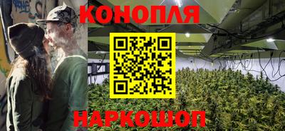spice Пенза