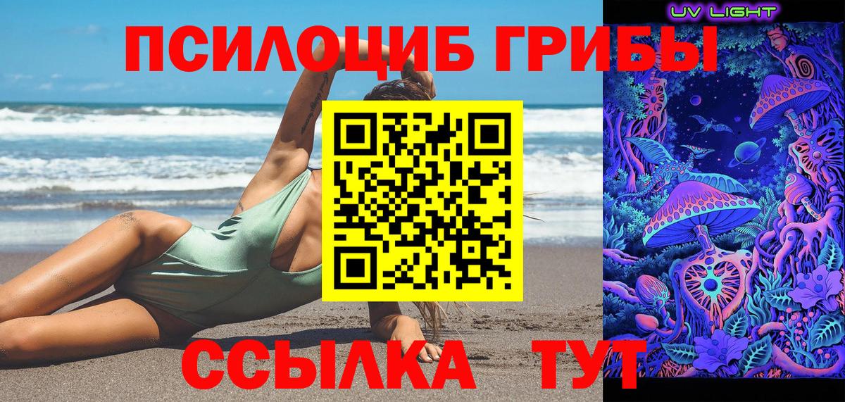 Псилоцибиновые грибы GOLDEN TEACHER Россошь